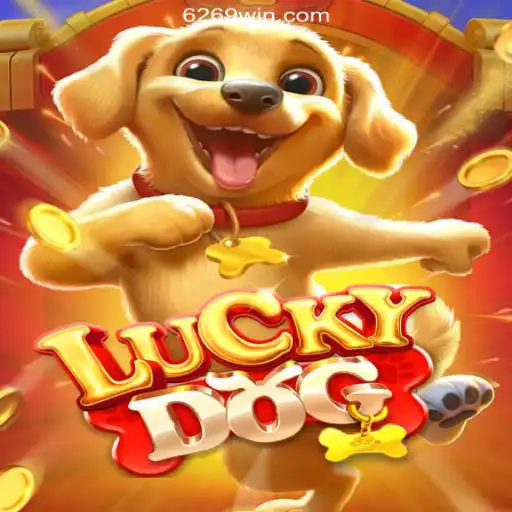 Discover the Thrills of LuckyDog: The Leading Online Slots Experience on 6292.com Platform in Brazil